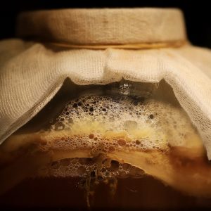 kombucha, fermented drink, fermentation-8478515.jpg